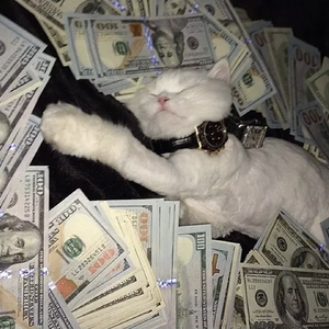 四川老太户外XXXHD
