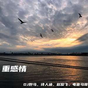 四川老太户外XXXHD
